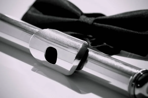 Masada duran enine flüt, karasinek.