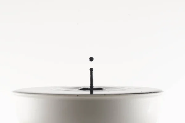 Masada duran enine flüt, karasinek.