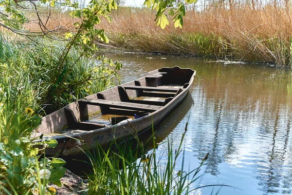 Masada duran enine flüt, karasinek.