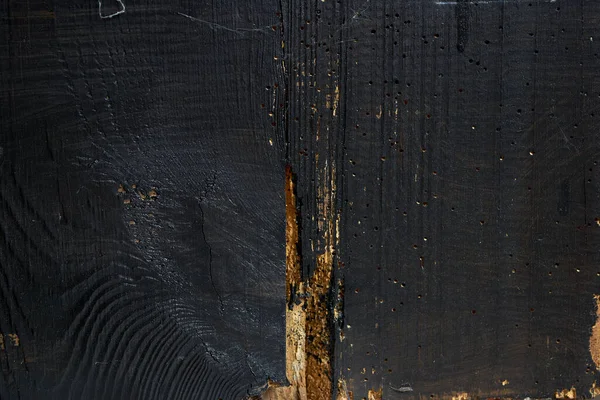 Old Planks Damaged Worms Shown Close Doors Painted Black Planks — Stock Photo, Image