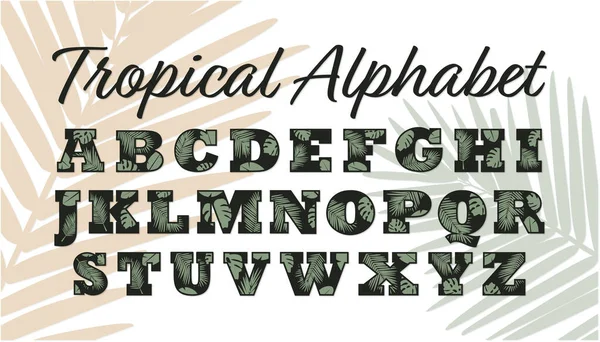 Tropisches Alphabet Palme Blätter Buchstaben Sommer Monogramm Dschungel Abc — Stockvektor
