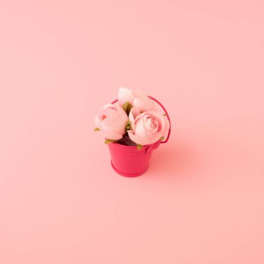 Pembe arka planda güllerle dolu bir kova. - Pembe estetik. Yaratıcı Valentin Günü, Anneler Günü, yıldönümü ya da doğum günü fikri.