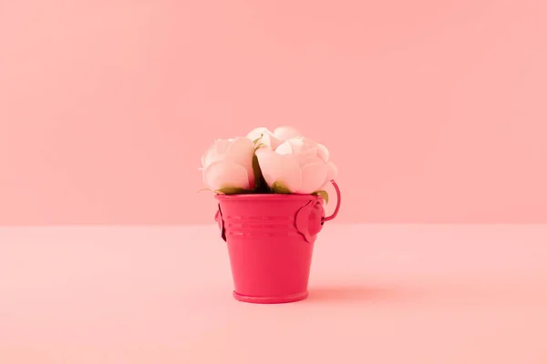 분홍색 배경에 장미가 양동이로 만들어 창의적 아이디어입니다 색이에 미니멀리즘 발렌타인데이 — 스톡 사진