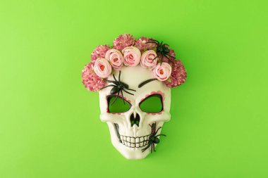 Renkli çiçekli şeker kafatası ve yeşil arka planda siyah örümcekler. En az Cadılar Bayramı ya da Santa Muerte konsepti. Düz yatıyordu.
