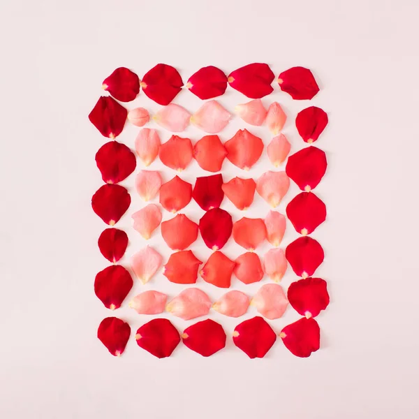 Δημιουργική Σύνθεση Από Ροζ Και Κόκκινα Τριαντάφυλλα Λευκό Φόντο Minimal — Φωτογραφία Αρχείου