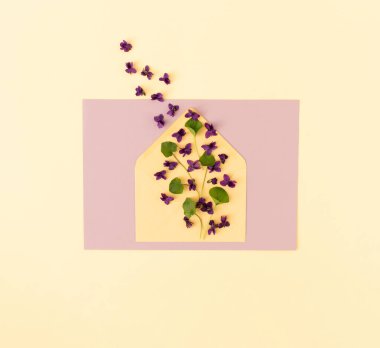 İçinde menekşe çiçekleri ve yapraklar olan yaratıcı bir düzen. Bahar çiçeği konsepti. Tebrik kartı konsepti. Düz yatış, üst görünüm.