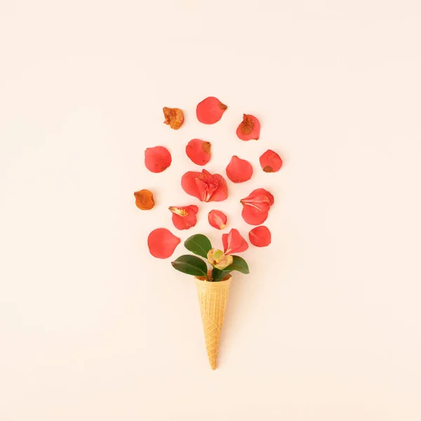 배경에 나뭇잎 아이스크림 그려져 창조적 스톡 사진