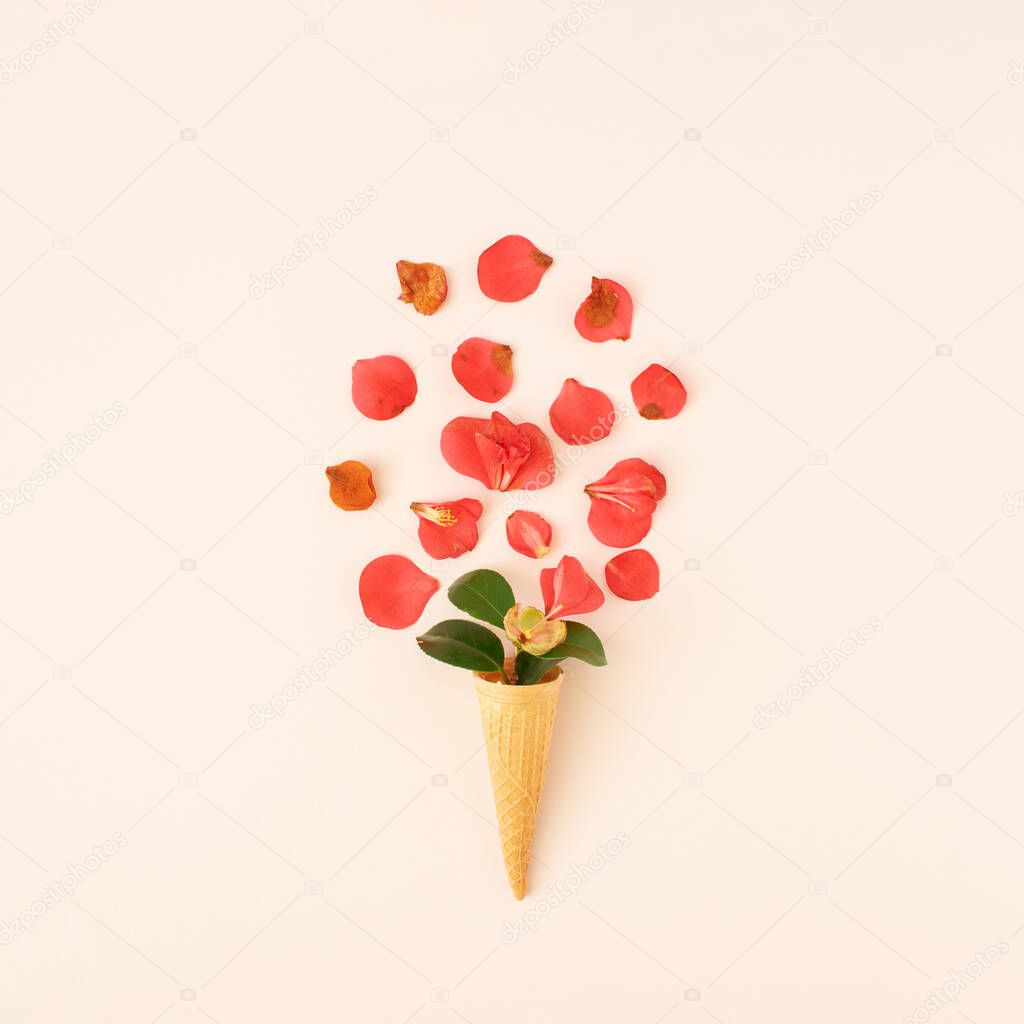 Withered red flower petals and leaves and  ice cream cone on white background. Creative nature concept. Flowers layout. Copy space.