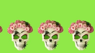 Creative loop animation made of sugar skull with colorful flowers and black spiders against green background. Minimal Halloween or Santa Muerte concept. 4K video.