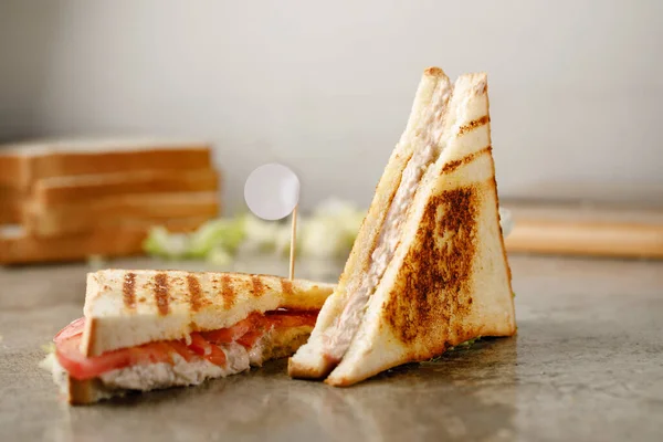 Tonijn Sandwich Geserveerd Een Schotel Geïsoleerd Grijze Achtergrond Bekijken Fastfood — Stockfoto