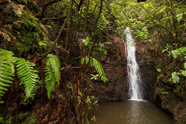 Small waterfall pouring into the \