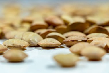 Beyaz arka planda pişirilmemiş mercimek yığını - kuru fasulye - yakın çekim - makro çekim.