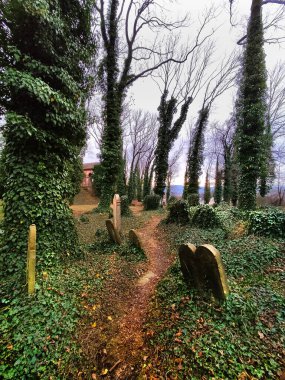 Cieszyn 'deki eski Yahudi mezarlığı