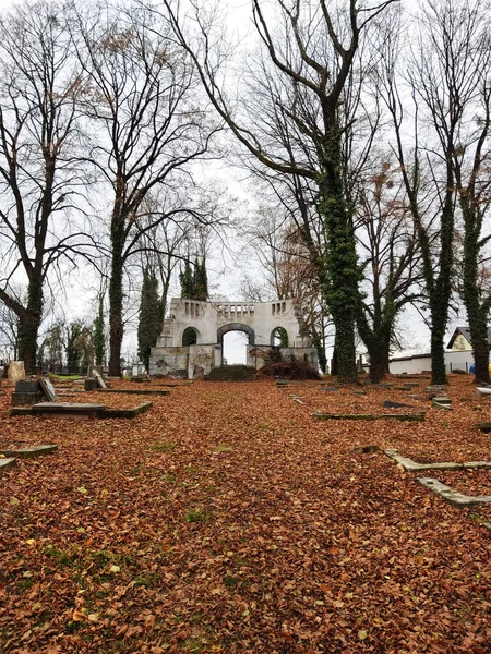 Nowy Zydowski Cmentarz Cieszynie — стокове фото