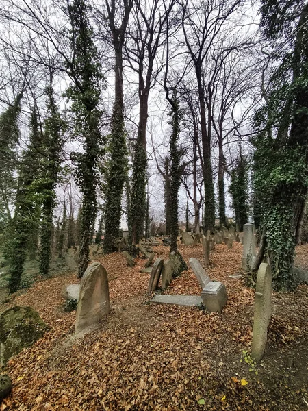 Cieszyn Deki Eski Yahudi Mezarlığı — Stok fotoğraf