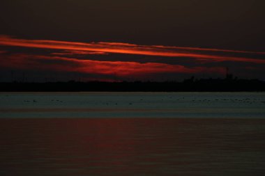 Bahia 'daki Atardecer