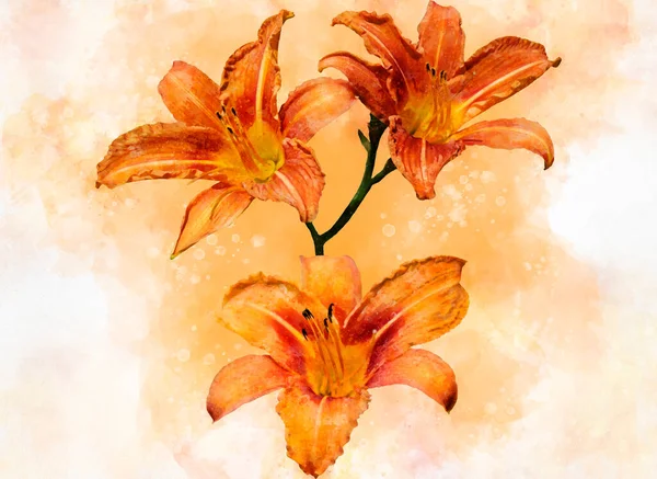 Akvarel Malba Tří Zářivě Oranžové Den Lilie Květiny Botanická Ilustrace — Stock fotografie