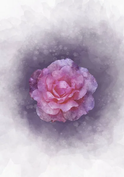 Desenho Aquarela Uma Flor Rosa Vibrante Arte Botânica Elemento Decorativo — Fotografia de Stock