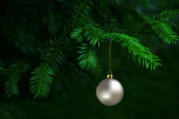 Noel Arkaplanı Köknar Dalları Beyaz Balo — Stok fotoğraf