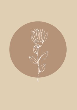 Dünya tonu boho çiçek çizimi, çiçek tasarımı. Asgari ve doğal modern illüstrasyon, poster, duvar sanatı, baskı, kapak.