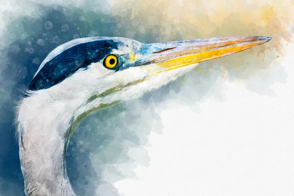 Watercolor Portret Heron Hand Drawn Watercolor Heron Perfect Design Greeting — Stock Photo, Image