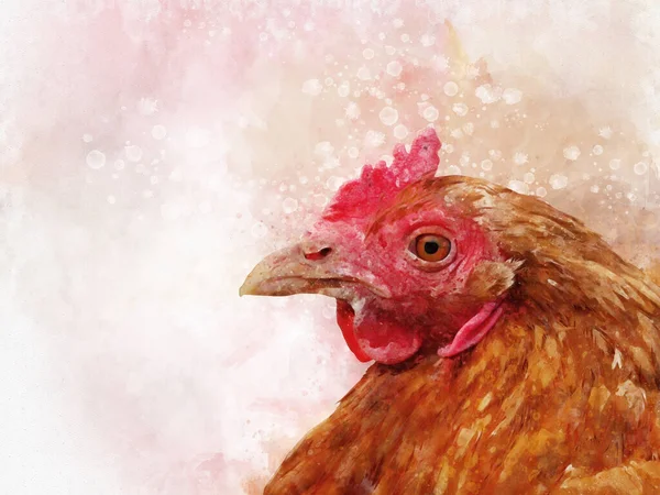 Akvarell Illustration Brun Kyckling Fågelillustration — Stockfoto