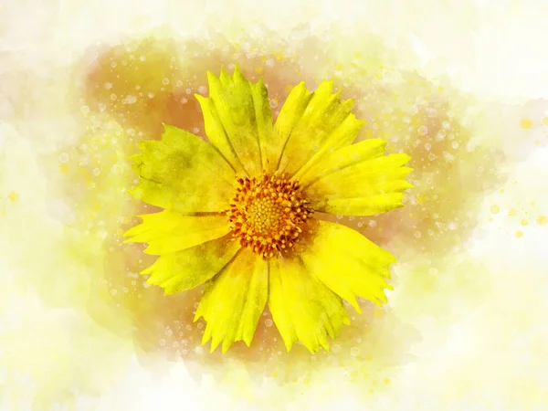 ティックシードの花の水彩イラスト 水彩画の中のイエローの実 植物図 — ストック写真