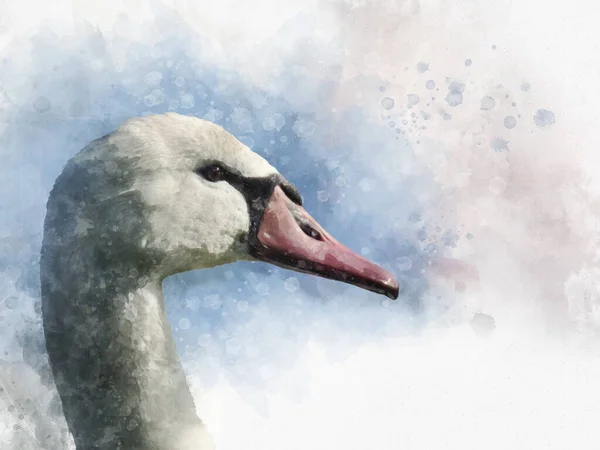 Akvarel Ilustrace Bílé Labutě Bílém Pozadí Ptačí Ilustrace — Stock fotografie