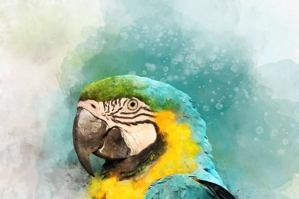Aquarela Pintura Papagaio Retrato Uma Arara Azul Amarela Ilustração Das — Fotografia de Stock
