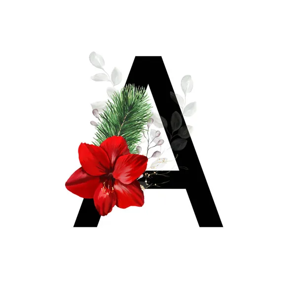 붉은아 마일리스 소나무 로장식된 크리스마스 알파벳의 — 스톡 사진