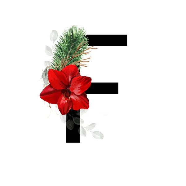 赤いアマリリスの花と松の小枝で飾られた大文字F クリスマスの装飾が施された英語のアルファベットの手紙 — ストック写真