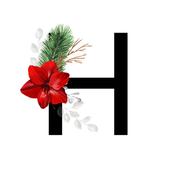 붉은아 마일리스 소나무 로장식된 크리스마스 알파벳의 — 스톡 사진