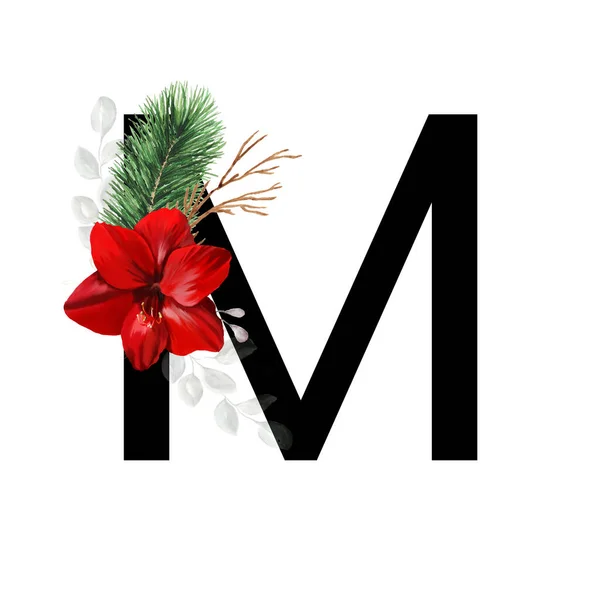 大写字母M装饰着红色的羊毛脂花和松树枝条 圣诞装饰英语字母表的字母 — 图库照片