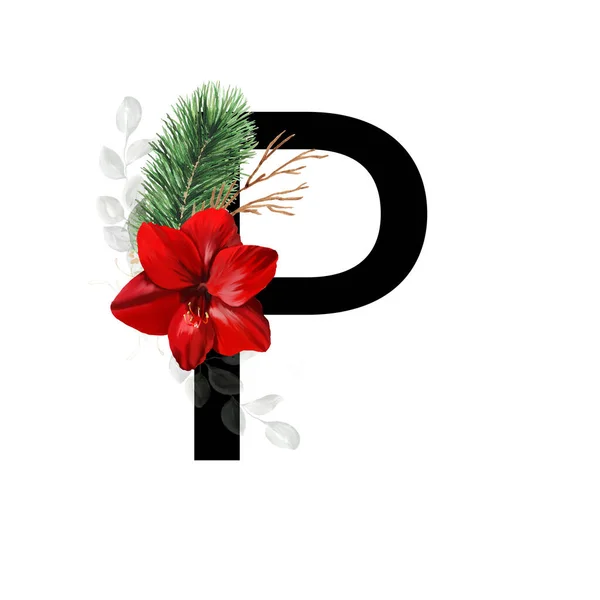大写字母P装饰着红色的羊毛脂花和松树枝条 圣诞装饰英语字母表的字母 — 图库照片