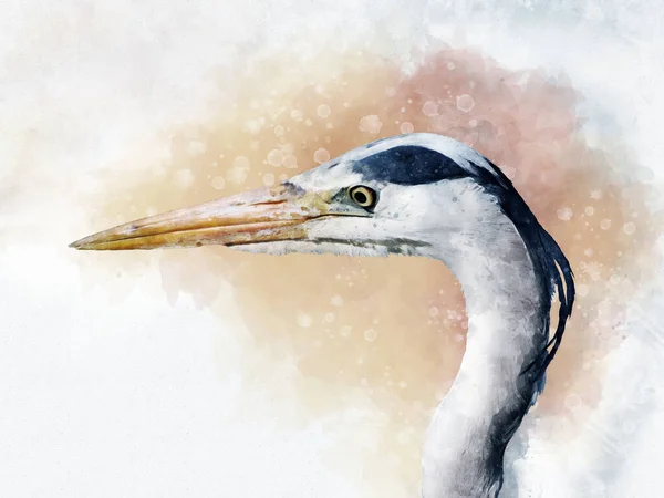 Watercolor Portrait Heron Hand Drawn Watercolor Heron Perfect Design Greeting — Stock Photo, Image