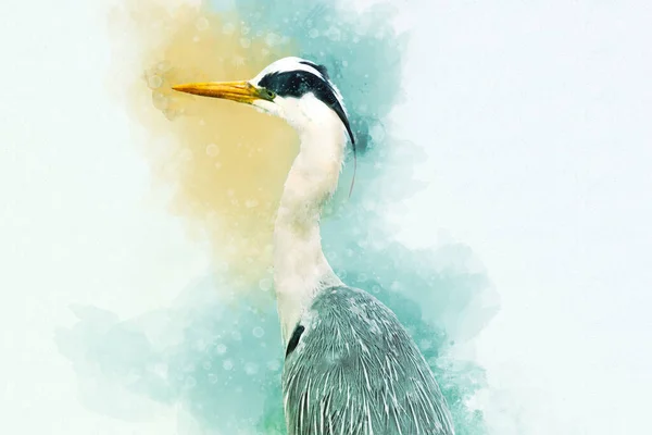 Aquarel Portret Van Een Reiger Met Hand Getekende Waterverf Reiger — Stockfoto