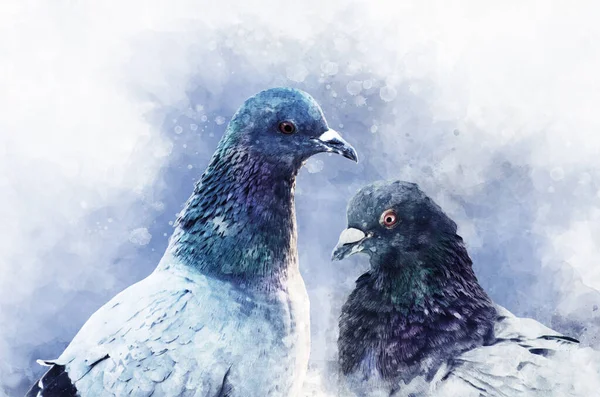 Güvercin Kuşu Portresi Suluboya Resim Kuş Çizimi — Stok fotoğraf