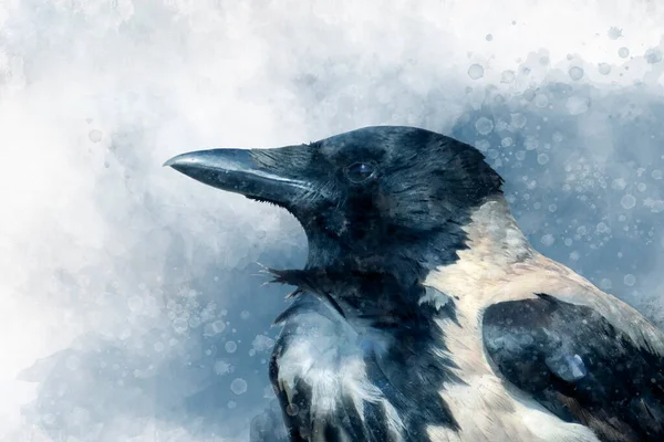 Retrato Pássaro Magpie Pintura Aquarela — Fotografia de Stock