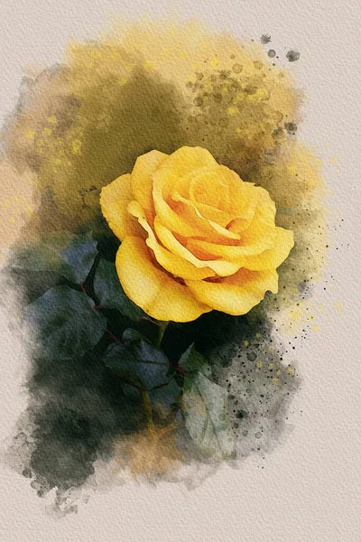 Ένα Σχέδιο Ακουαρέλας Ενός Ζωηρού Κίτρινου Τριαντάφυλλου Βοτανική Τέχνη Διακοσμητικό — Φωτογραφία Αρχείου