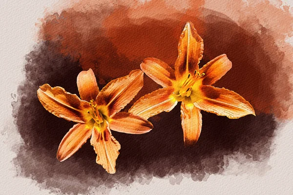 Watercolor Painting Vibrant Orange Day Lily Flowers Botanical Illustration — Stock fotografie