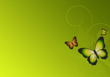Colorful butterflies over yellow green background
