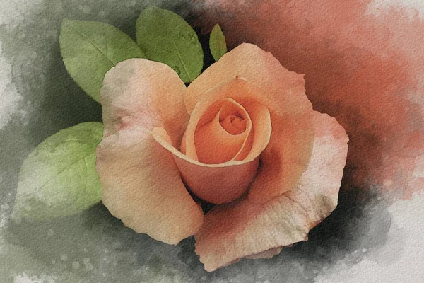 水彩画的生机勃勃的橙色玫瑰花 植物学艺术 贺卡或婚宴请柬的装饰元素 — 图库照片