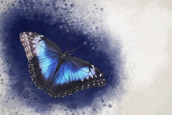 Vacker Blå Fjäril Målad Med Akvarell Vårens Tid Illustration — Stockfoto