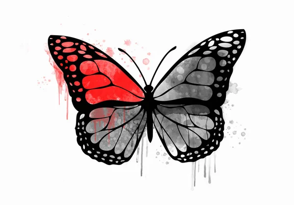 Decorative Watercolor Grunge Butterfly Your Design Hand Drawn Colorful Butterfly — Foto de Stock
