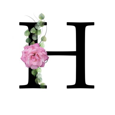 Çiçek başlığı, H harfi. Pembe gül ve suluboya yapraklarla süslenmiş.