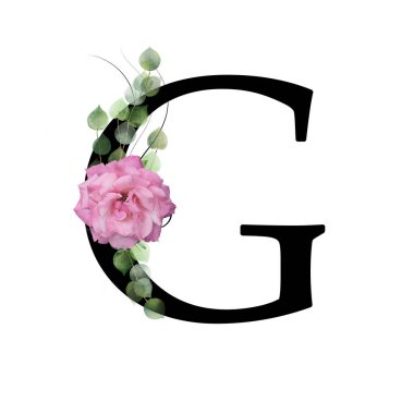 Çiçek başlığı, G harfi. Pembe gül ve suluboya yapraklarla süslenmiş.