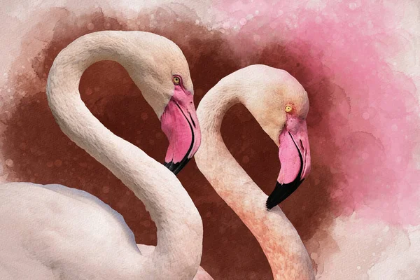 Portret Van Twee Flamingo Vogels Aquarelleren Rode Flamingo Phoenicopterus Ruber — Stockfoto