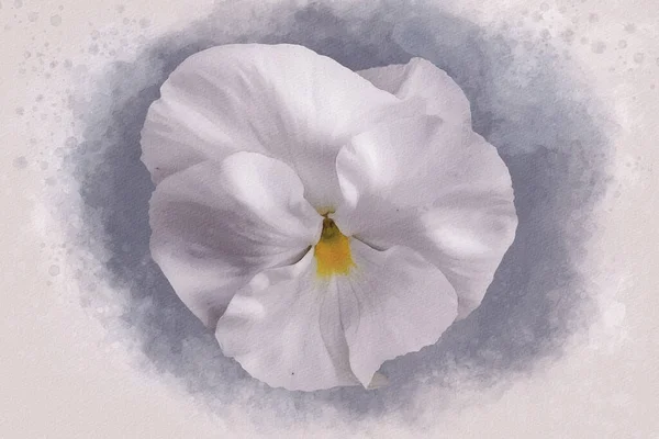 Detailní Záběr Bílého Bledého Květu Akvarelech Botanická Ilustrace Pro Blahopřání — Stock fotografie