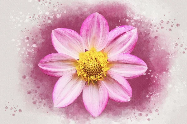 Rosa Dahlia Ilustración Flores Estilo Acuarela Para Fondo Tarjeta Invitación — Foto de Stock
