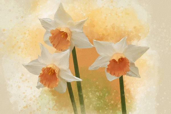 Akwarelowy Kwiat Żonkila Ręcznie Rysowane Akwarela Wiosenne Kwiaty Idealne Projektowania — Zdjęcie stockowe